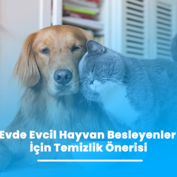 Evde Evcil Hayvan Besleyenler İçin Temizlik Önerisi
